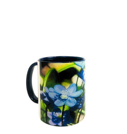Tazza Fiori Primavera