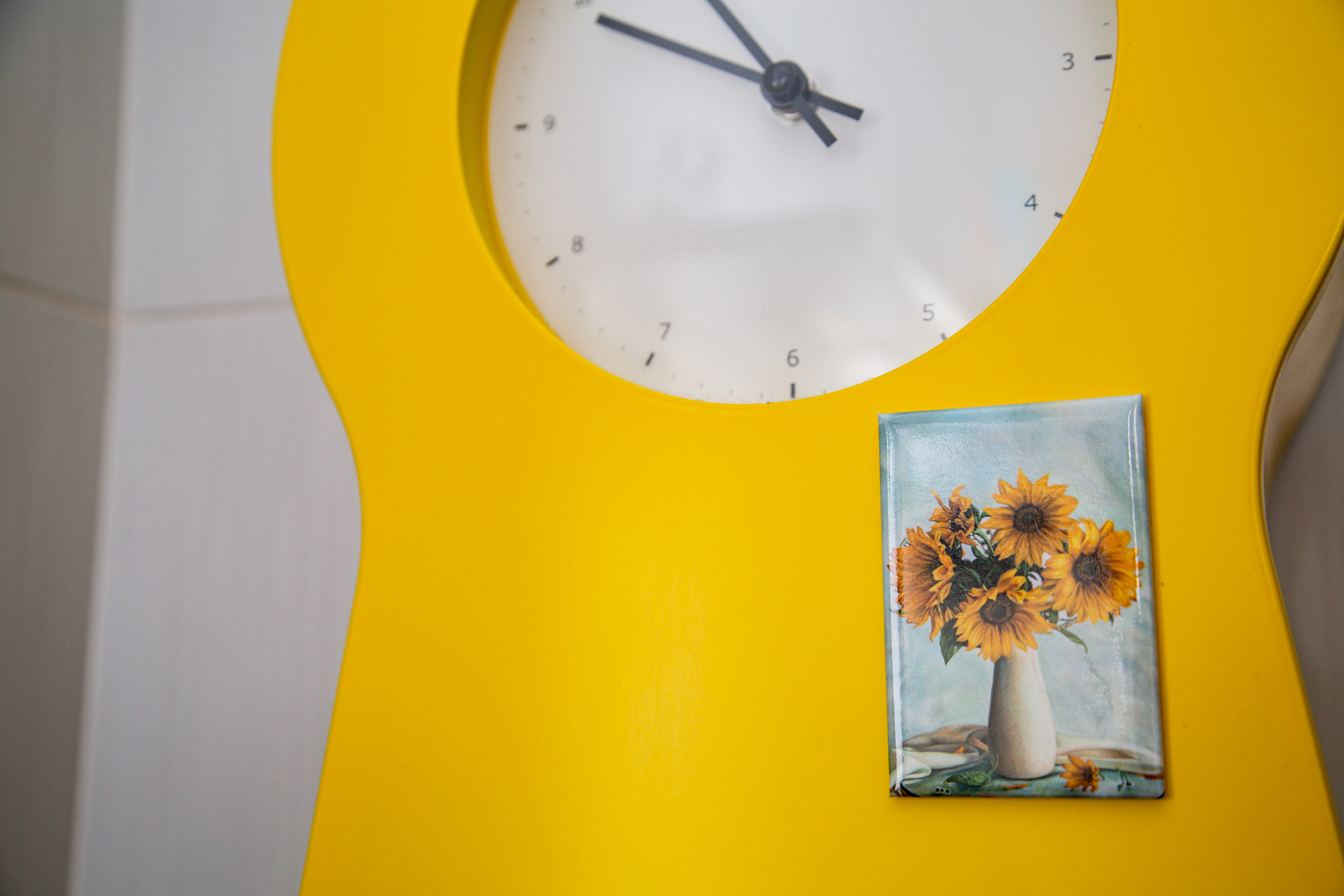 Calamita Girasoli in Vaso Bianco