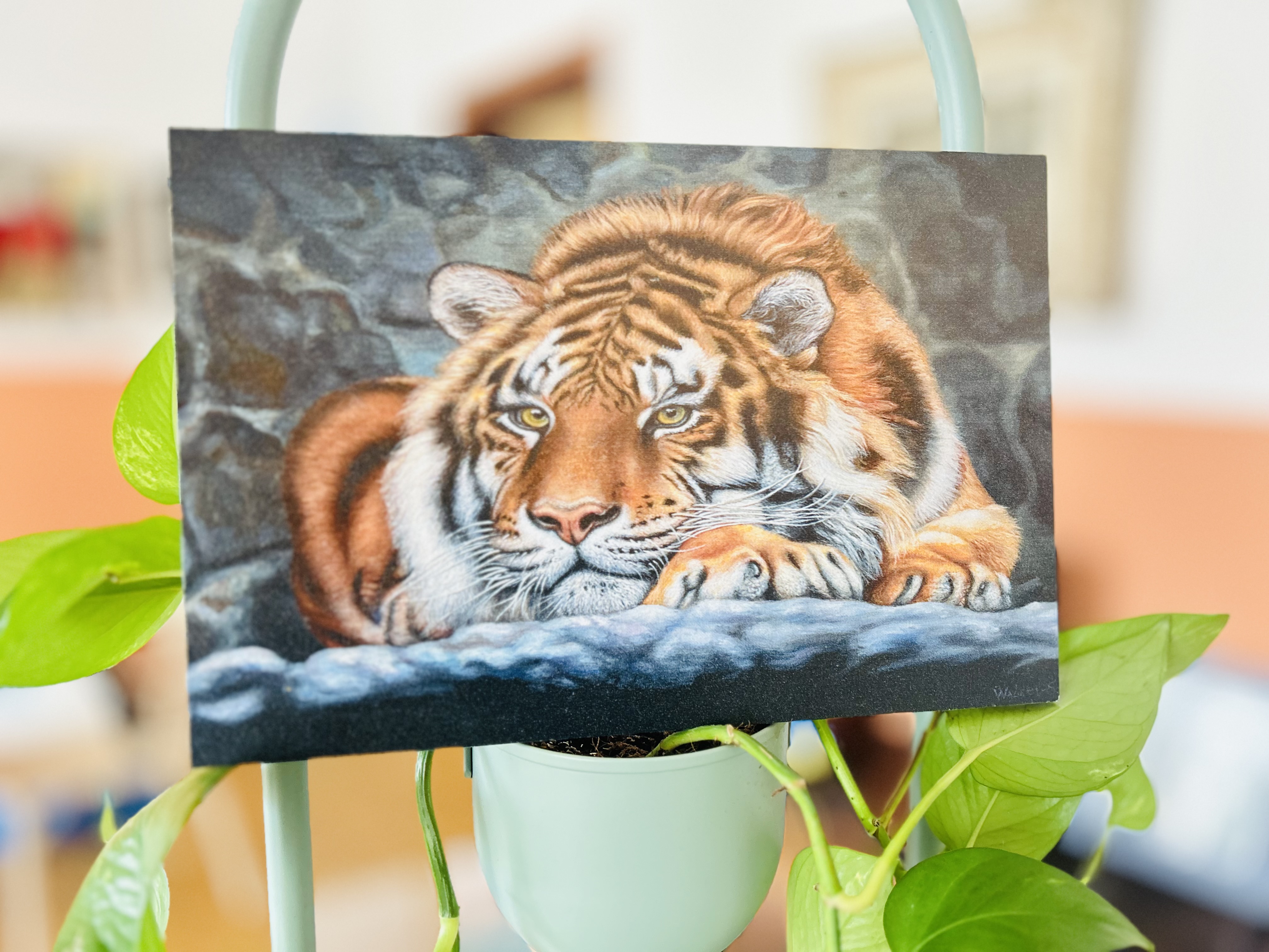 Stampa su Legno La Tigre